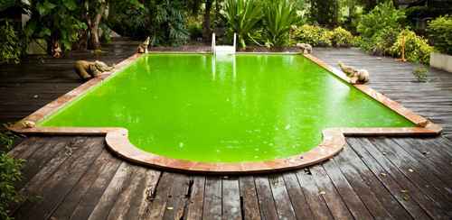 La méthode infaillible pour rattraper l’eau verte de sa piscine en 7 minutes