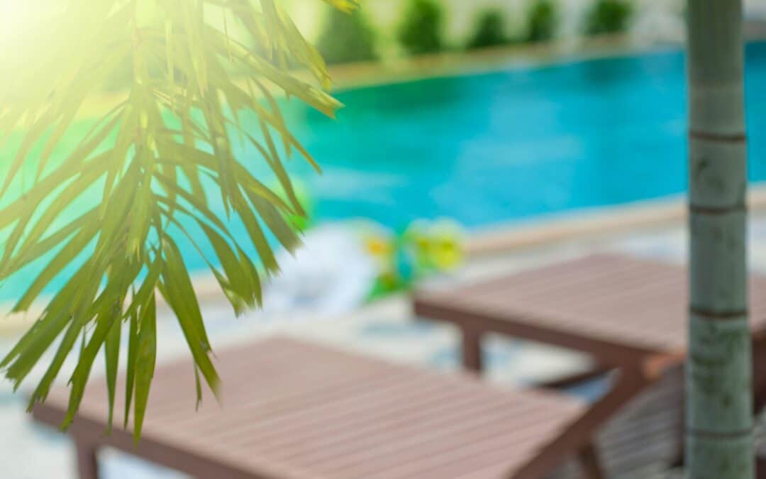 Feuille verte devant un flouté de bains de soleil et d'une piscine