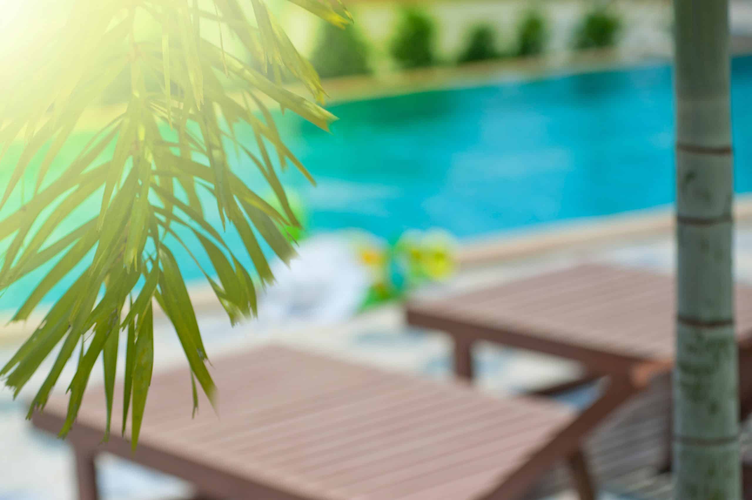 Feuille verte devant un flouté de bains de soleil et d'une piscine