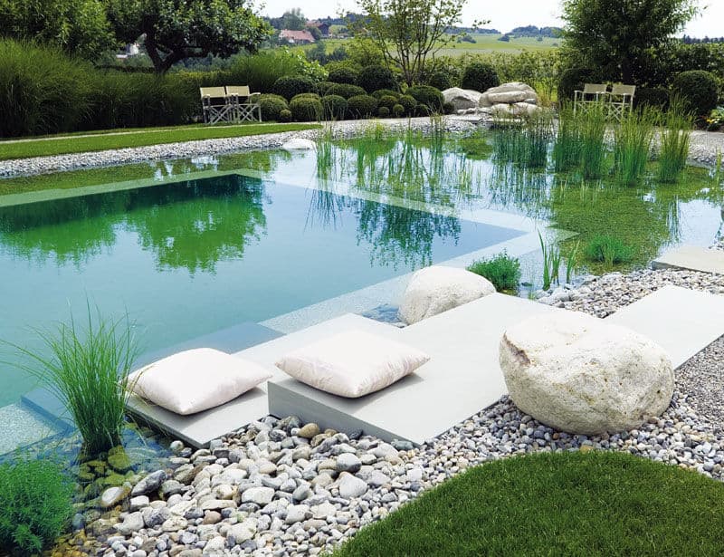 Piscine naturelle avec plantes