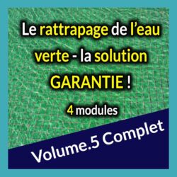 Vignette V5 - Eau verte - 4 modules
