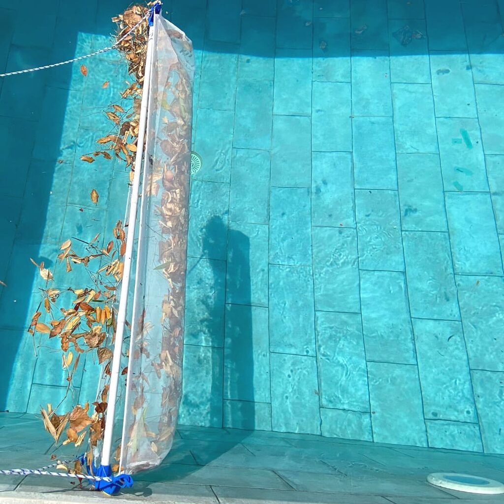 épuisette De Surface Manche Télescopique Pour Piscine Et Spa