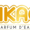 logo-KIKAO