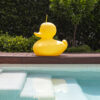 Lampe canard XL jaune Goodnight Liht