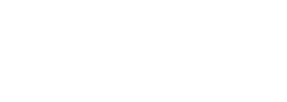 LOGO FP BLANC PNG